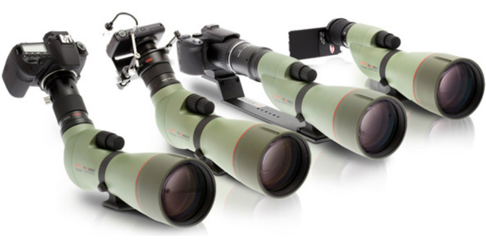 The Ultimate Digiscoping Guide – USA Binoculars
