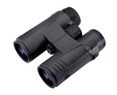 Sig Sauer Zulu5 Binocular - 10x42mm HD Lens Black