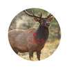 Image of Athlon 10x50 Cronus Rangefinder Binocular 111020 Laser View of Elk